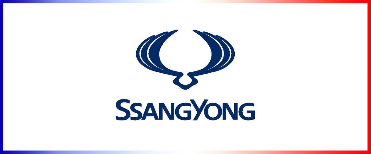 Démarches carte grise pour Ssangyong