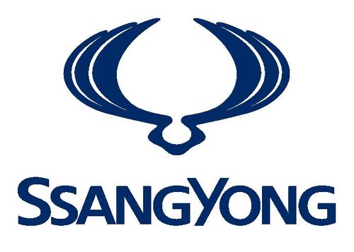 Carte grise Ssangyong